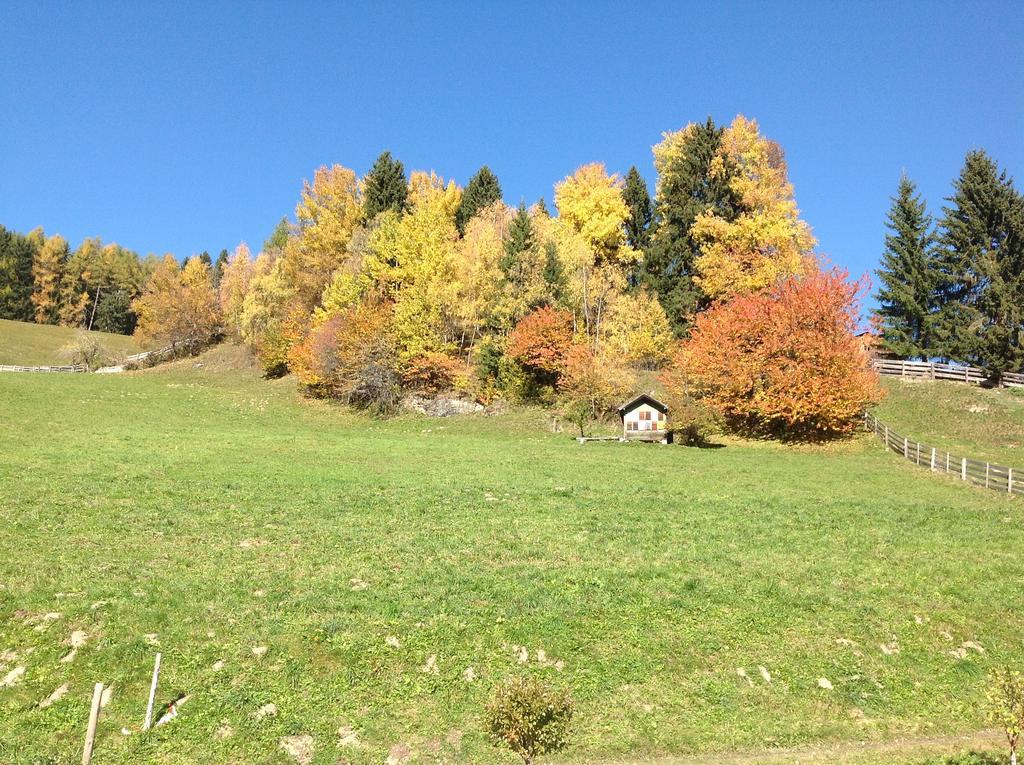 בראייס Berggasthaus Agritur Moserhof מראה חיצוני תמונה